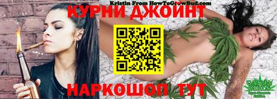 сатива Будённовск