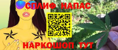 сатива Будённовск