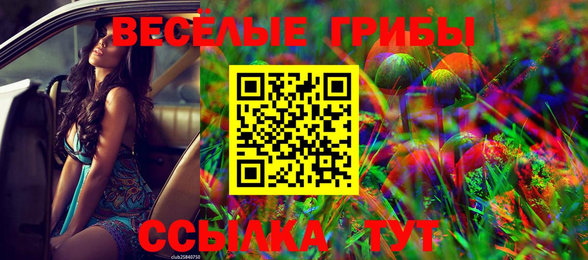 Псилоцибиновые грибы Cubensis Лобня