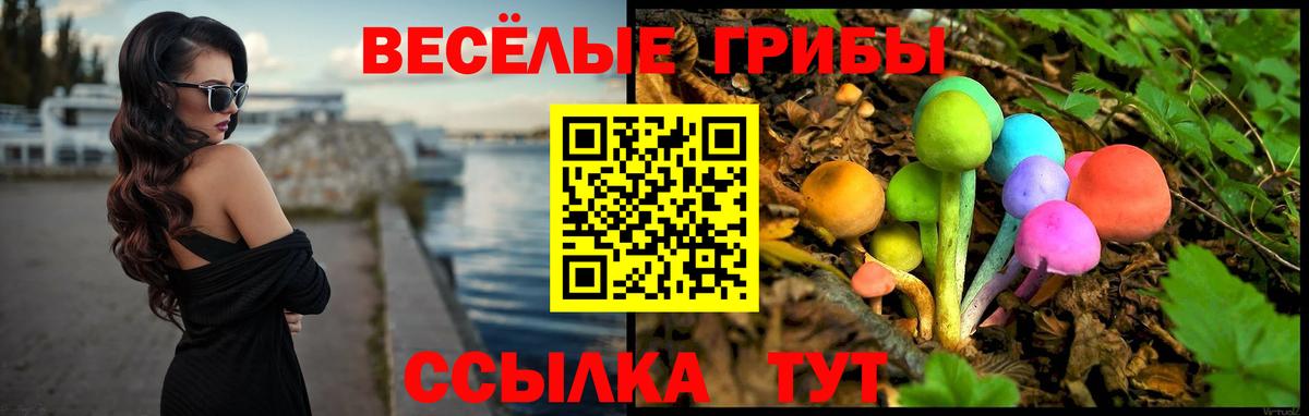 Лобня  Галлюциногенные грибы Psilocybine cubensis  Вход с VPN  Псилоцибиновые грибы MAGIC MUSHROOMS 